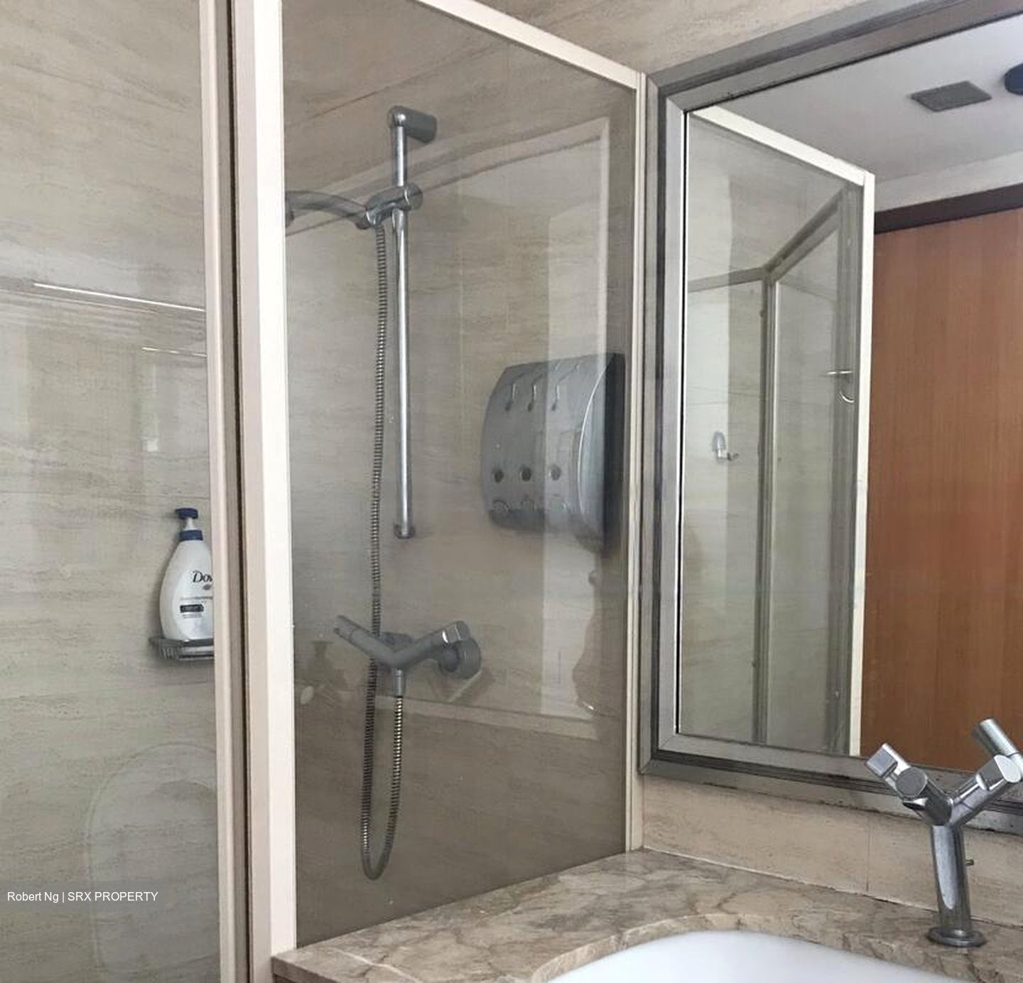 Blue Horizon (D5), Condominium #460676791